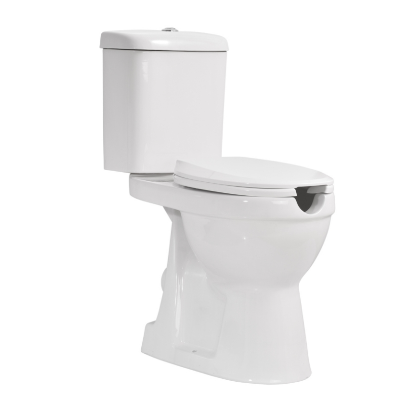 Ceramic Disabled Toilet WC