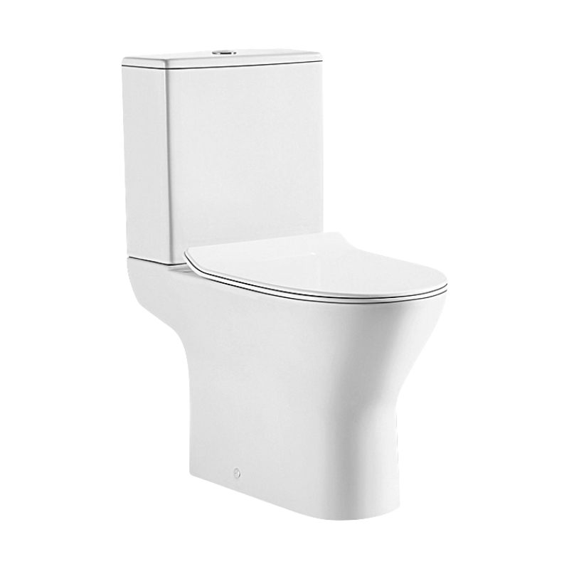 Ceramic Rimless Water Closet