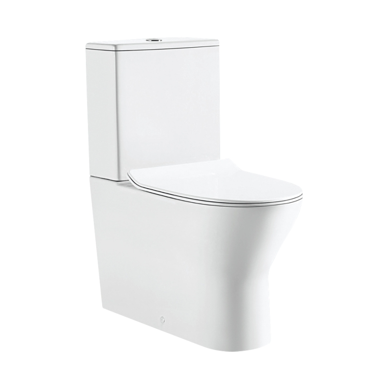 Ceramic BTW Rimless Toilet