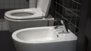 Commercial Toilet Maintenance