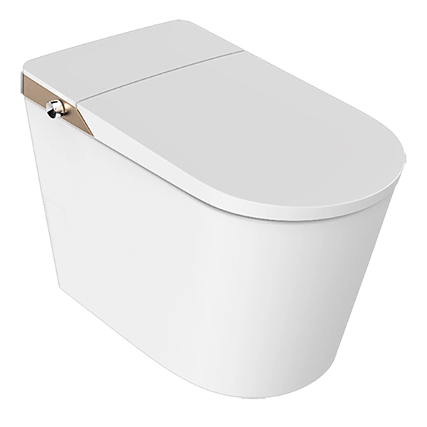 Eko-vriendelike slim toiletbeklemtoon doeltreffendheidsfunksies in 'n moderne badkamer
